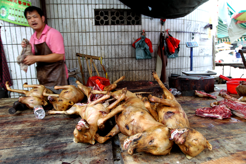 Festival de Yulin. AP